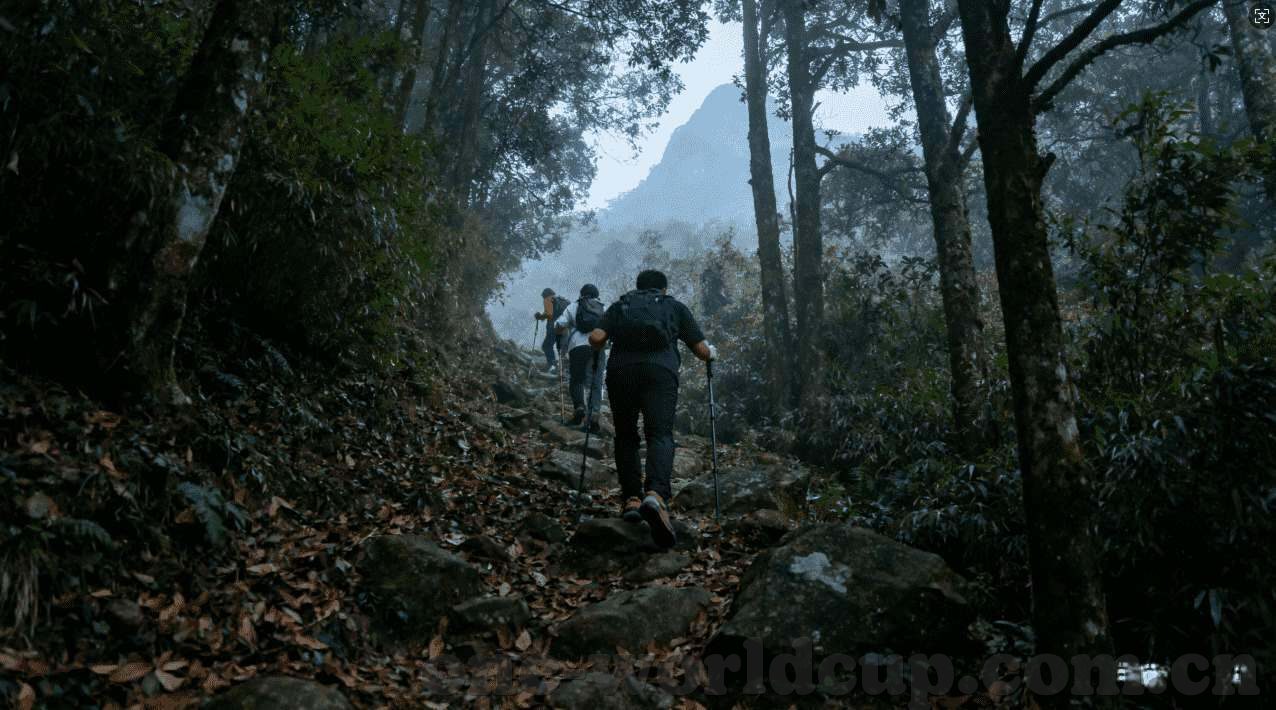 广东福彩世界杯竞猜-广东福彩世界杯竞猜，激情与公益的碰撞